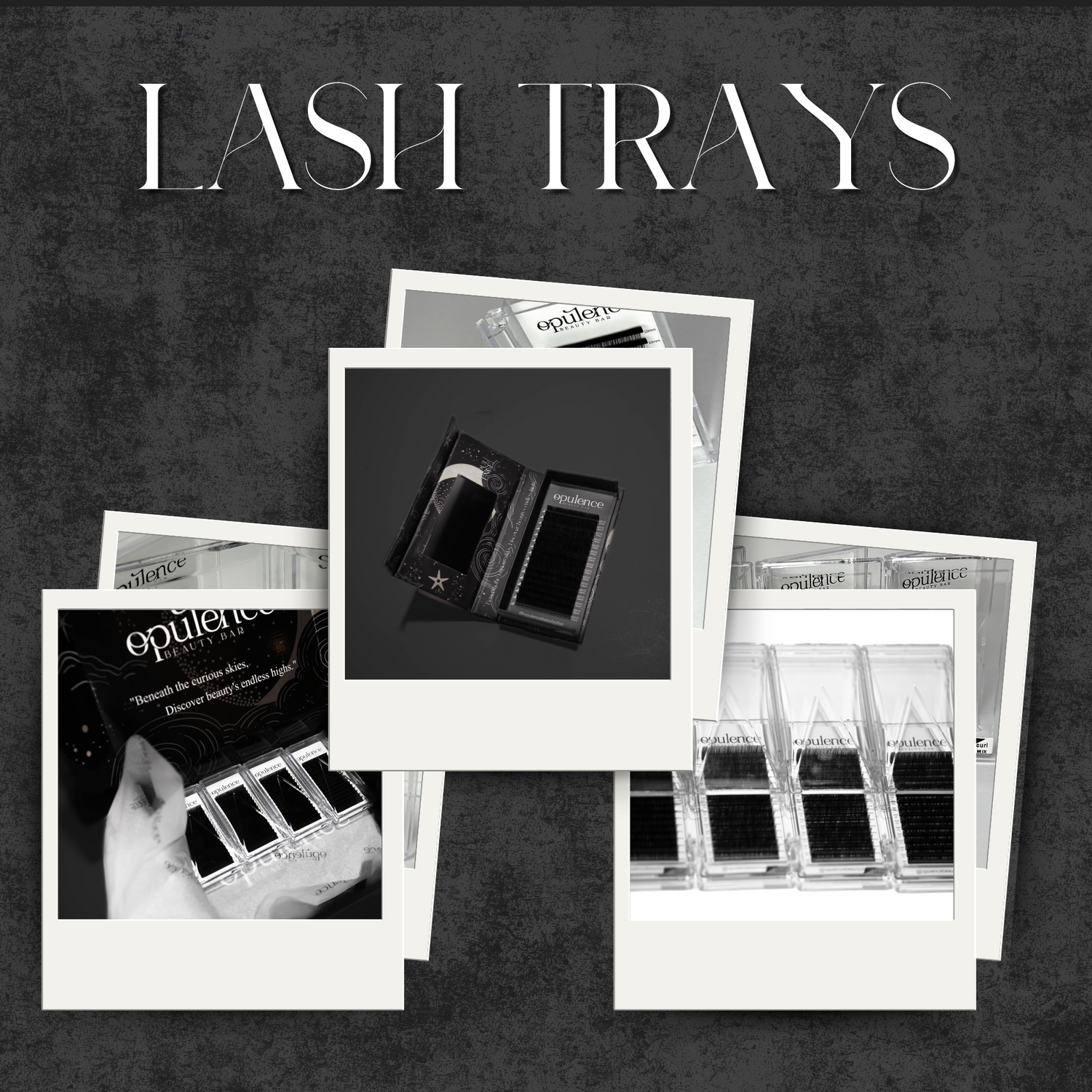 LASH TRAYS